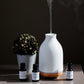 Essential Oil Diffuser Blends Aromatherapy Relaxation Scent Oils