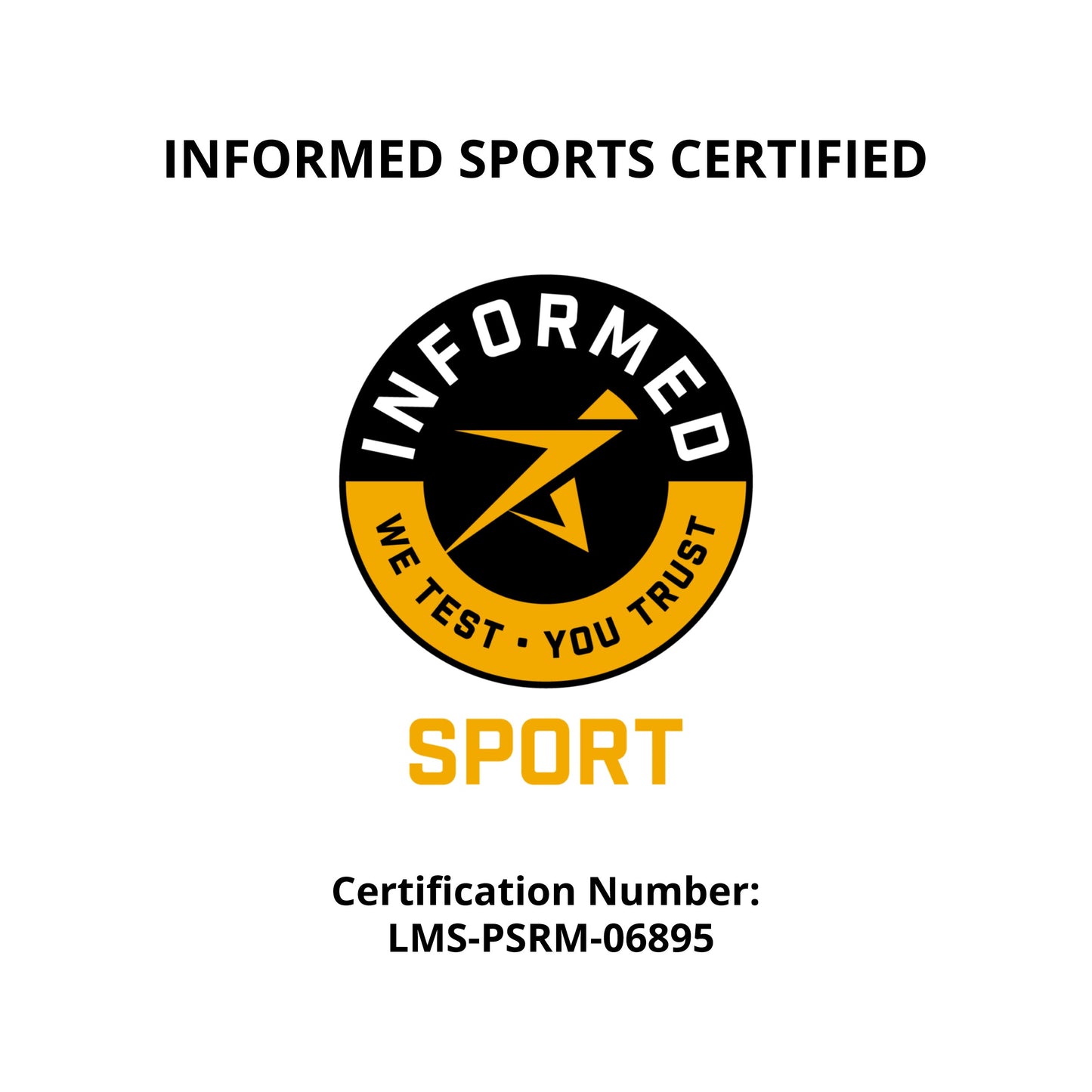 Plant Based Sport Protein Powder Muscle Recovery Vegan