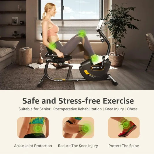 Recumbent Exercise Bike Magnetic Indoor Home Fitness Black