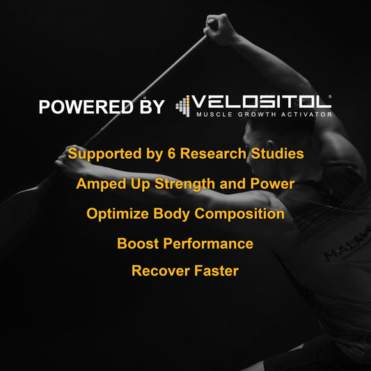 Plant Based Sport Protein Powder Muscle Recovery Vegan