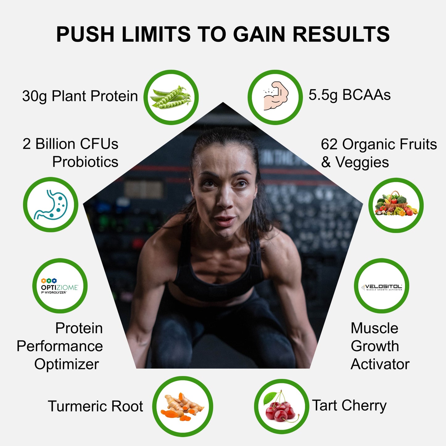 Plant Based Sport Protein Powder Muscle Recovery Vegan